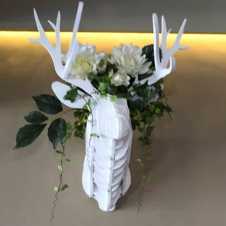 Edelweiss Отель 3*