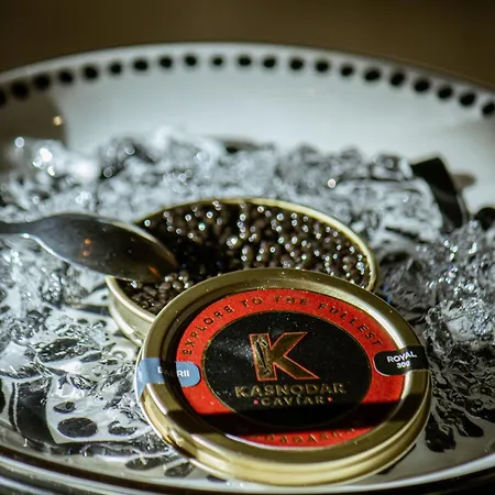 雪绒花酒店 酒店 谷雪维尔