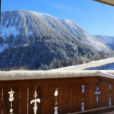 酒店 雪绒花酒店 3*