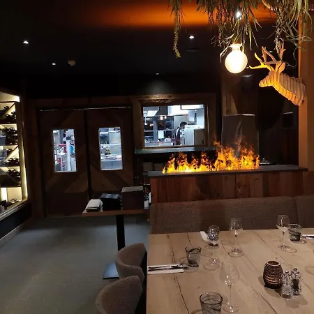 雪绒花酒店 酒店 3*