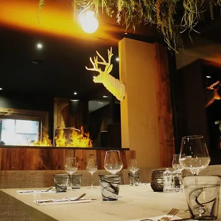 酒店 雪绒花酒店 3*